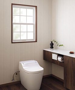 1 1552103717 8421715682 alauno s2