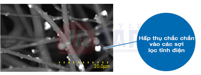 1 1618385378 3382856823 sharp ki ls70 mang loc 3