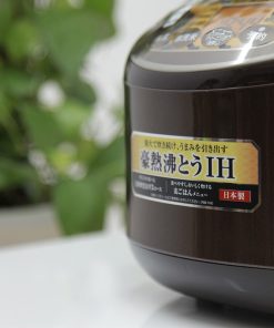 1 1629970078 2834166298 noi com dien zojirushi nw vh10 ta 6