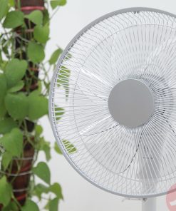 Quạt điện Original Basic CDV504BK | 7 cánh | Động cơ DC 18 1 1629972027 8332586612 quat dien original basic cdv504bk 5