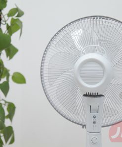 Quạt điện Original Basic CDV504BK | 7 cánh | Động cơ DC 20 1 1629972028 6217466803 quat dien original basic cdv504bk 12