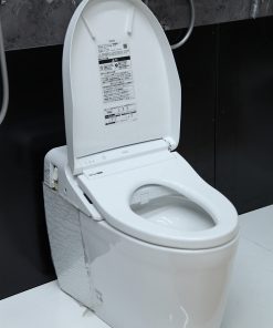 Bồn cầu thông minh TOTO CES9565R | DH Style 9 1 1660199175 7619740459 bon cautoto ces998 2