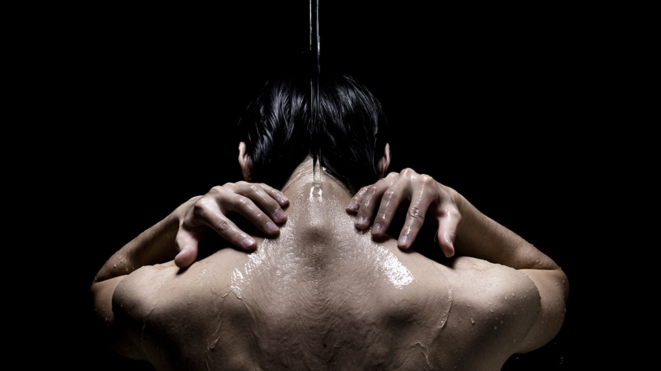 14 1603114355 9332682800 toto voi hoa sen tam hoa quyen cung hoi am cua bon tam nghe thuat cua dong nuoc