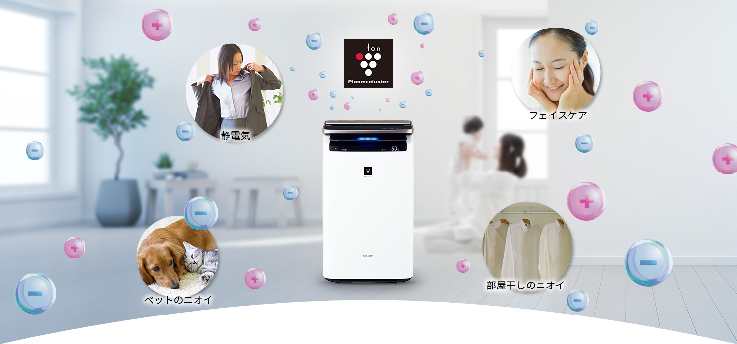 14 1618978839 8861878319 main visual 1