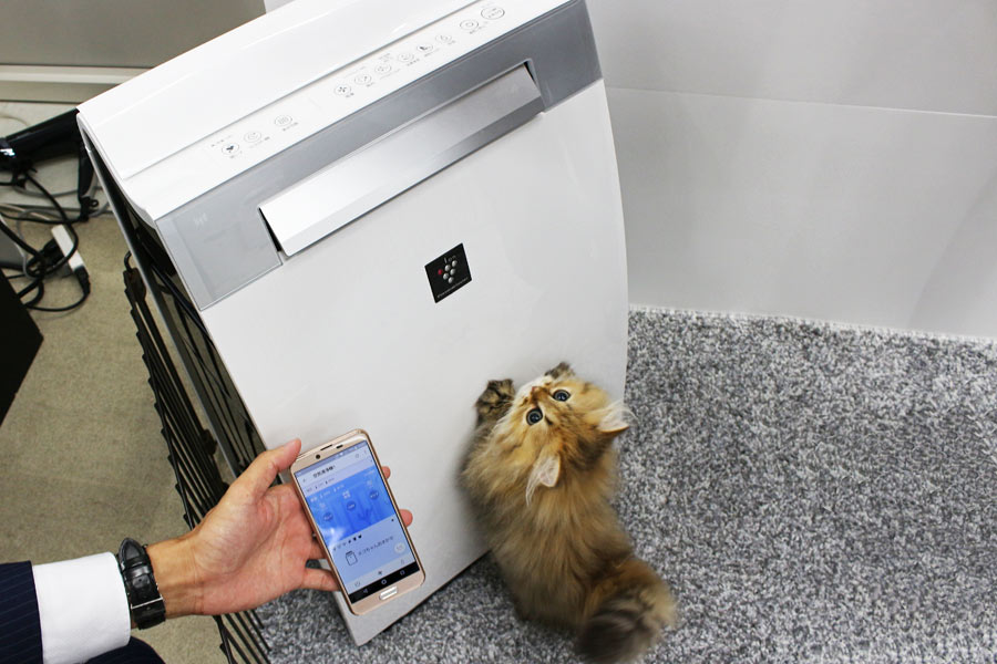 14 1621242950 5988045634 12846 01 1