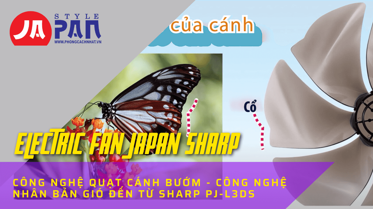 14 1648367892 4252890414 banner phong cach nhat