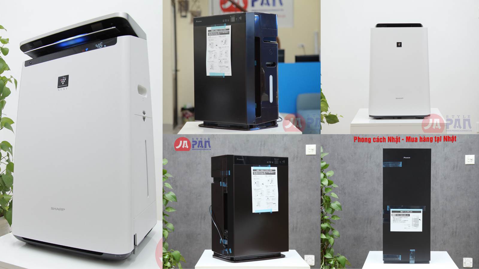 14 1662531778 4893152447 collage fotor 1