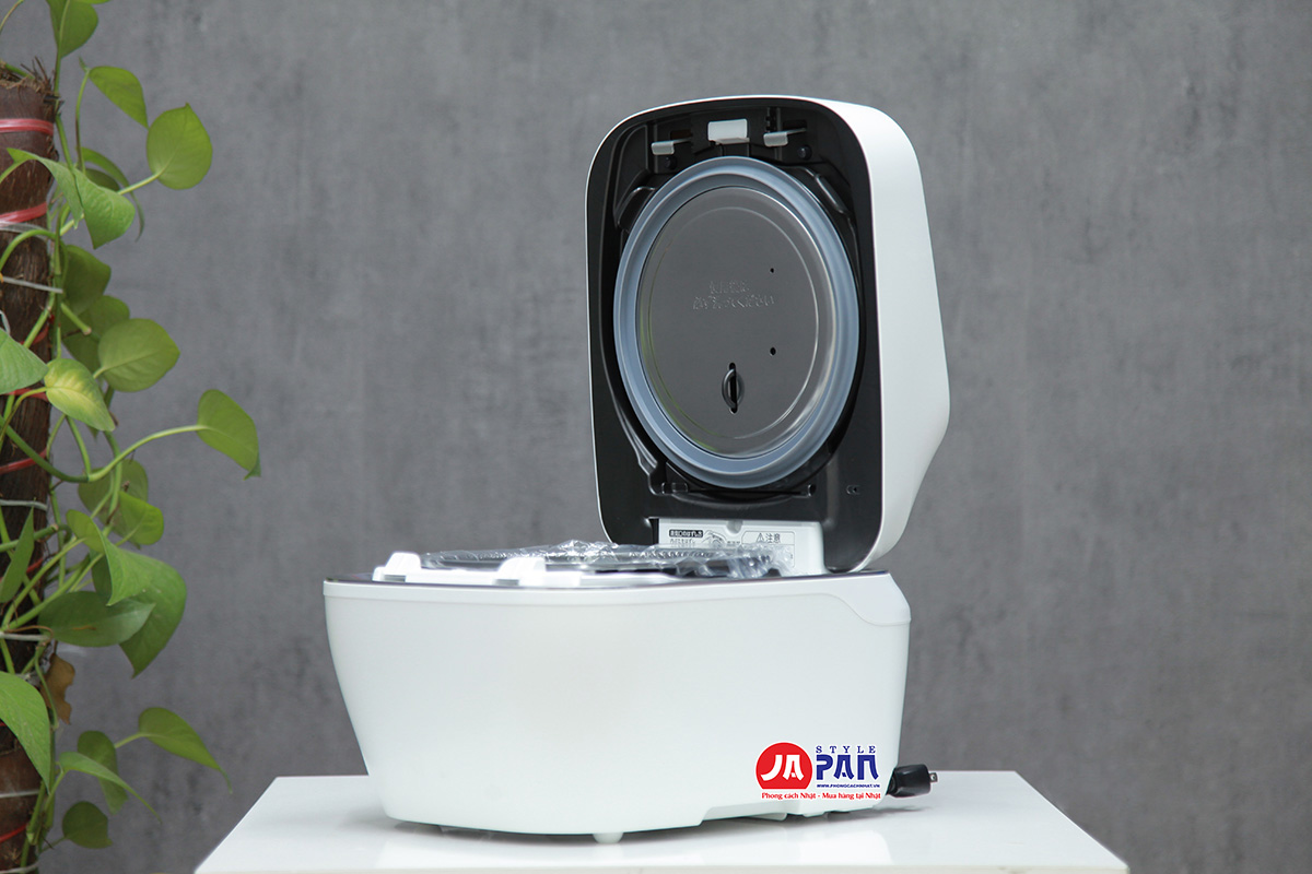 Noi com dien Toshiba RC 10ZWT W 10