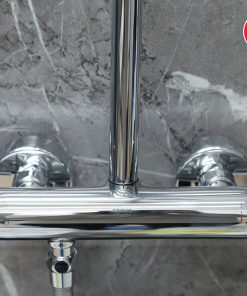 Sen cây Grohe Euphoria System 2636900J