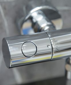 Sen cây Grohe Euphoria System 2636900J