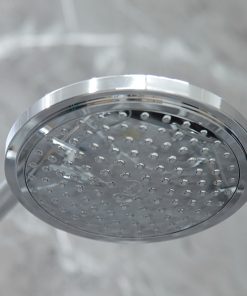 Sen cây Grohe Euphoria System 2636900J