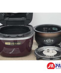 noi com dien tiger jpi x100 rx 10