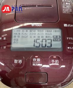 noi com dien tiger jpi x100 rx 3