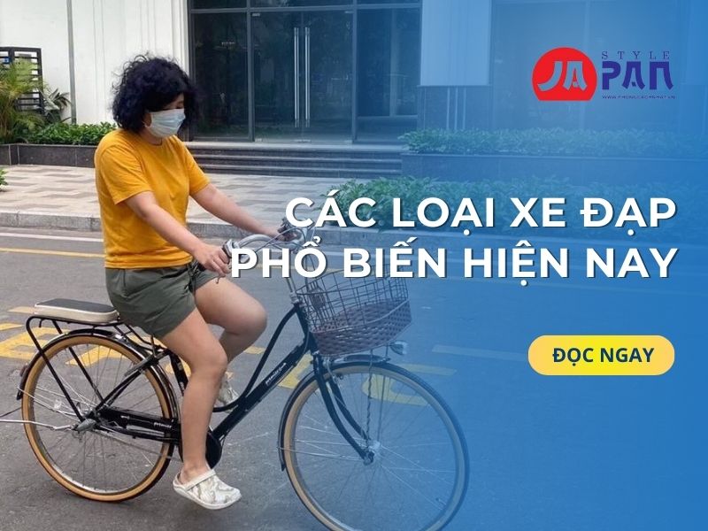 Các Loại Xe Đạp Phổ Biến Hiện Nay