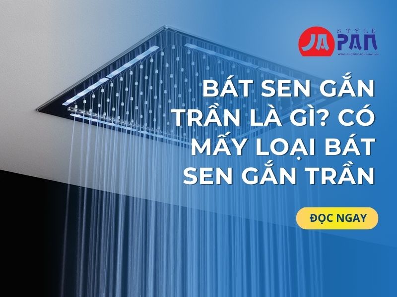 Bát Sen Gắn Trần Là Gì Có Mấy Loại Bát Sen Gắn Trần